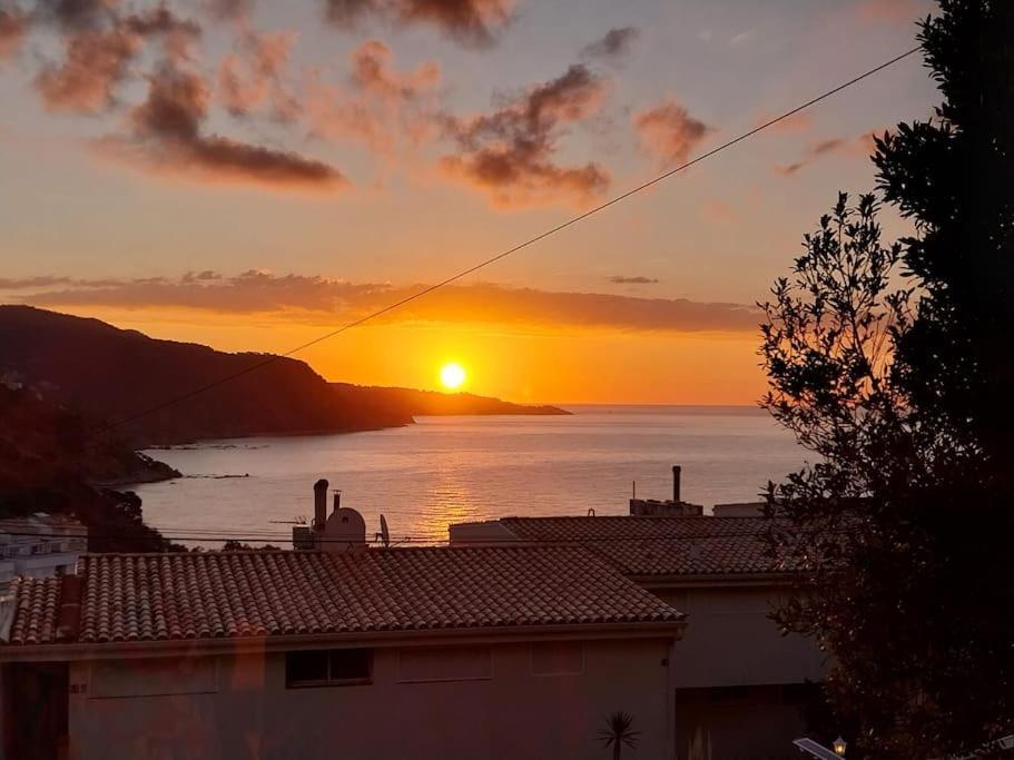 Apartament Cala Salions Balandro II Tossa De Mar Canet De Mar Zewnętrze zdjęcie
