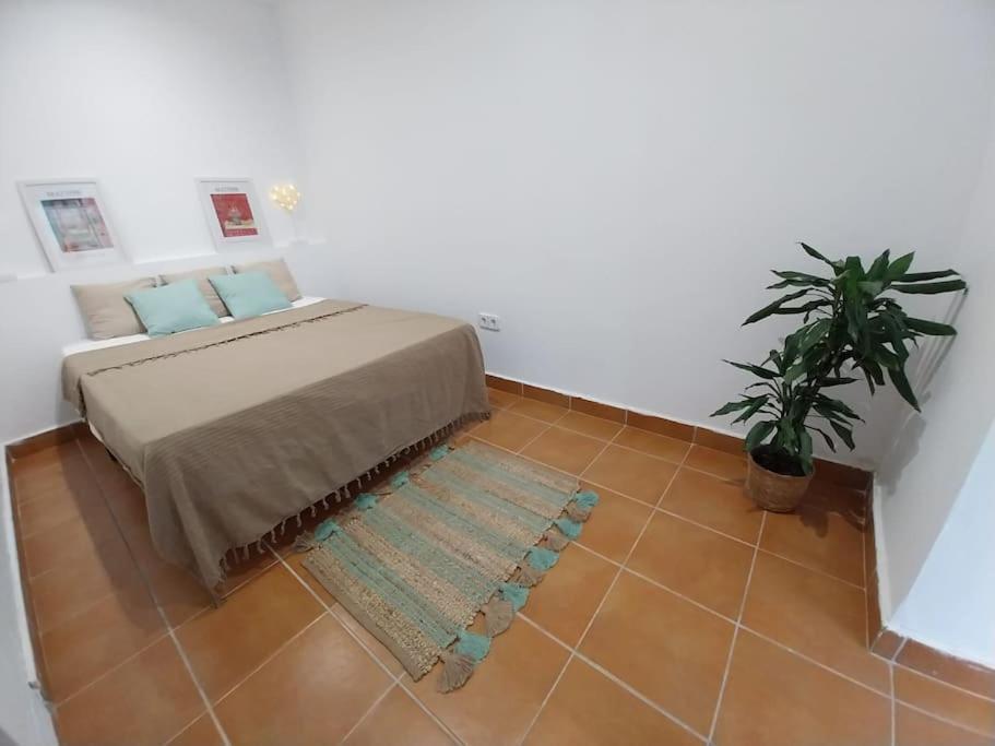 Apartament Cala Salions Balandro II Tossa De Mar Canet De Mar Zewnętrze zdjęcie