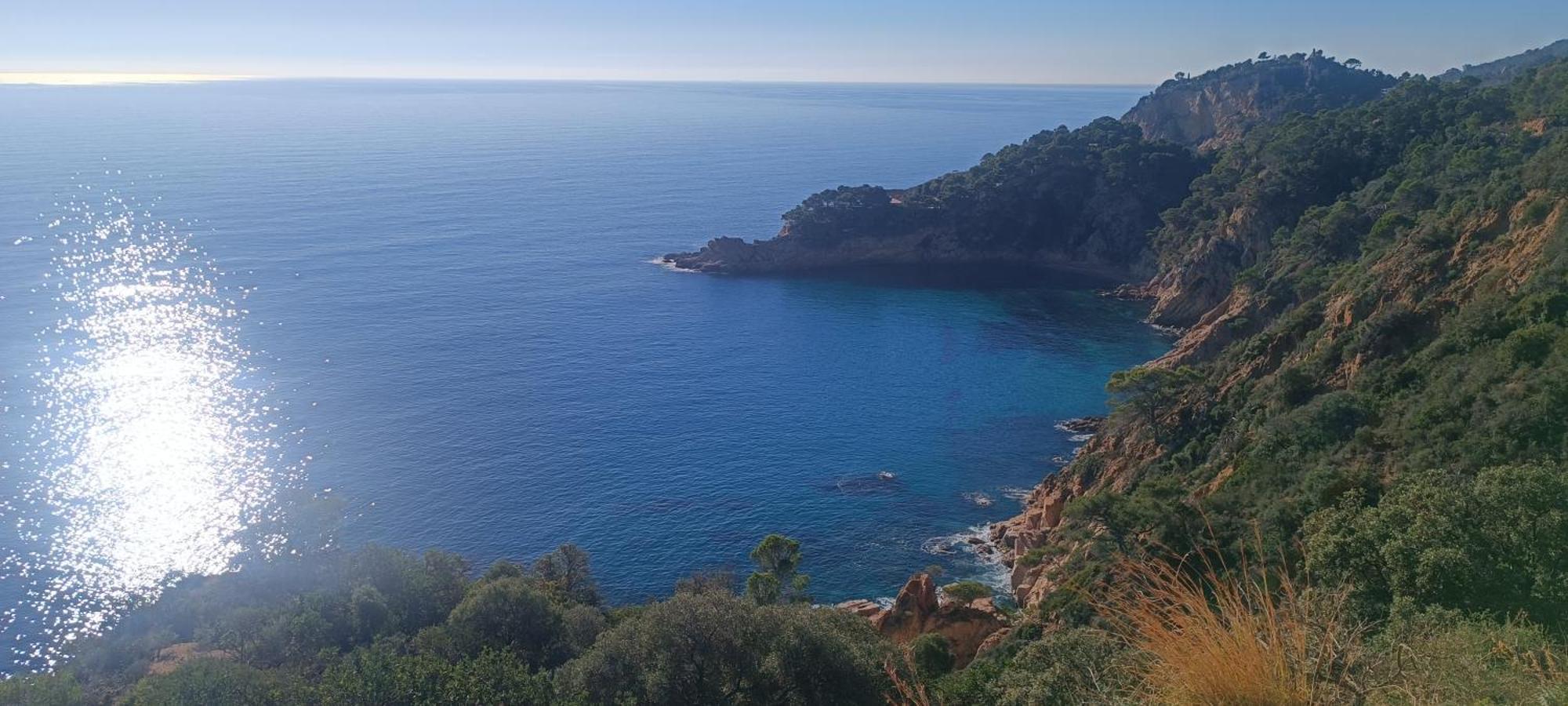 Apartament Cala Salions Balandro II Tossa De Mar Canet De Mar Zewnętrze zdjęcie